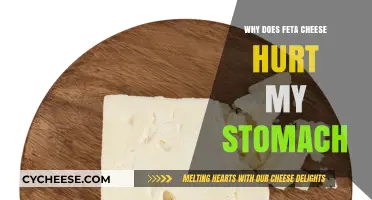 Feta Cheese and Stomach Pain: What's the Link?