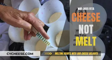 Feta Cheese's Melting Point Mystery