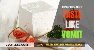 Feta Cheese's Vomit Taste: Why Does It Happen?