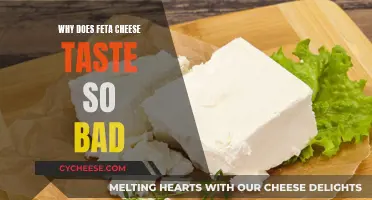 Feta Cheese: Why Does It Taste So Bad?