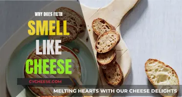 The Science Behind the Smell of Filth and Cheese
