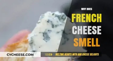Unveiling the Aromatic Mystery: Why Does French Cheese Smell So Distinct?