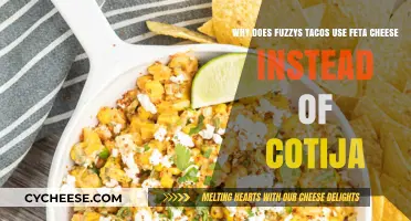 Fuzzys' Feta: A Unique Twist on Traditional Mexican Flavors