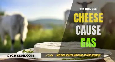 Unraveling the Mystery: Why Goat Cheese Causes Gas