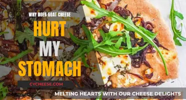 Goat Cheese Sensitivity: Why Does It Hurt My Stomach?