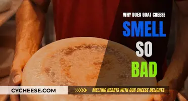 Goat Cheese's Pungent Odor: Why So Stinky?