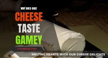 The Savory Secret: Unveiling the Gamey Charm of Goat Cheese