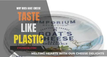Goat Cheese's Plastic Taste: Why Does It Happen?