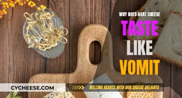 Goat Cheese's Vomit Taste: Why Does It Happen?