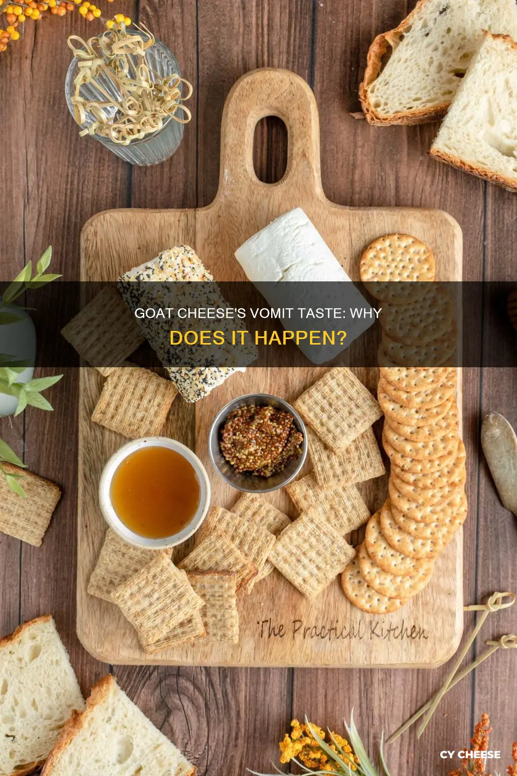 why does goat cheese taste like vomit