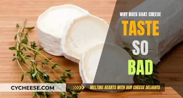 Goat Cheese's Unpleasant Taste: Why So Bad?