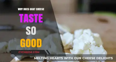 The Irresistible Charm of Goat Cheese: Unlocking Its Unique Flavor