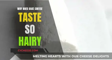 Goat Cheese's Hairy Taste: Why It's So Distinctive