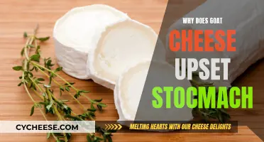Goat Cheese Sensitivities: Why Does It Upset My Stomach?