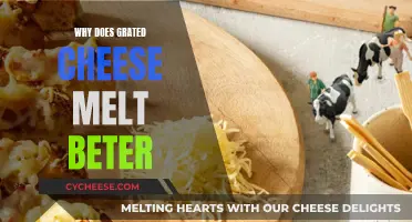 Grated Cheese Melts Better: The Science Behind It