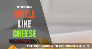 The Mystery of Grease and Cheese: Similar Scents