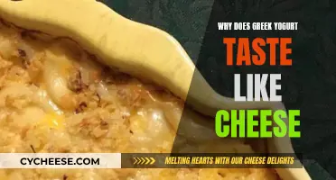 Greek Yogurt's Cheesy Taste: A Cultural Conundrum