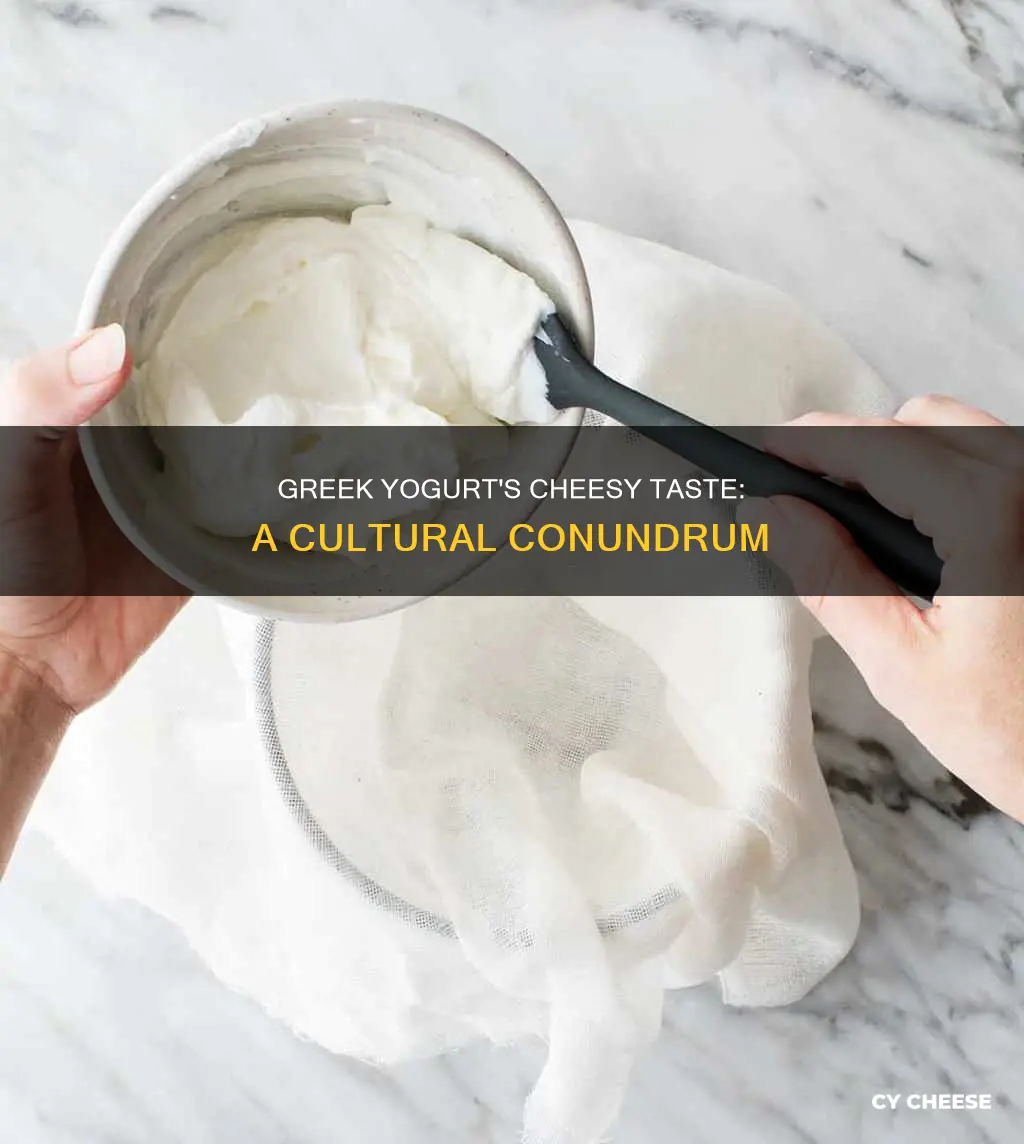 why does greek yogurt taste like cheese