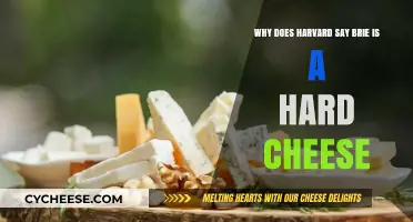 Harvard's Brie Blunder: Debunking the Hard Cheese Myth