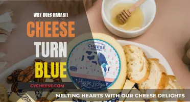 Unraveling Havarti's Blue Vein Mystery