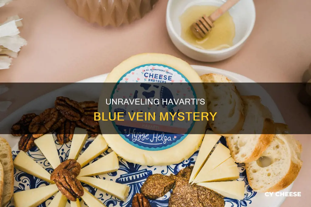 why does havarti cheese turn blue