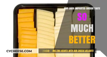 Imported Cheese: Unraveling the Secrets Behind Its Superior Flavor
