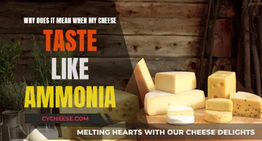 Cheese's Ammonia Taste: What Does It Mean?
