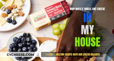 Cheesy Smell Mystery: Why Does My House Stink?
