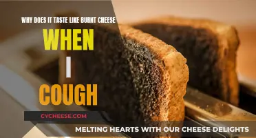 Burnt Cheese Flavor: What Your Cough Reveals