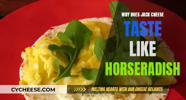 Jack Cheese's Horseradish Taste: Why?