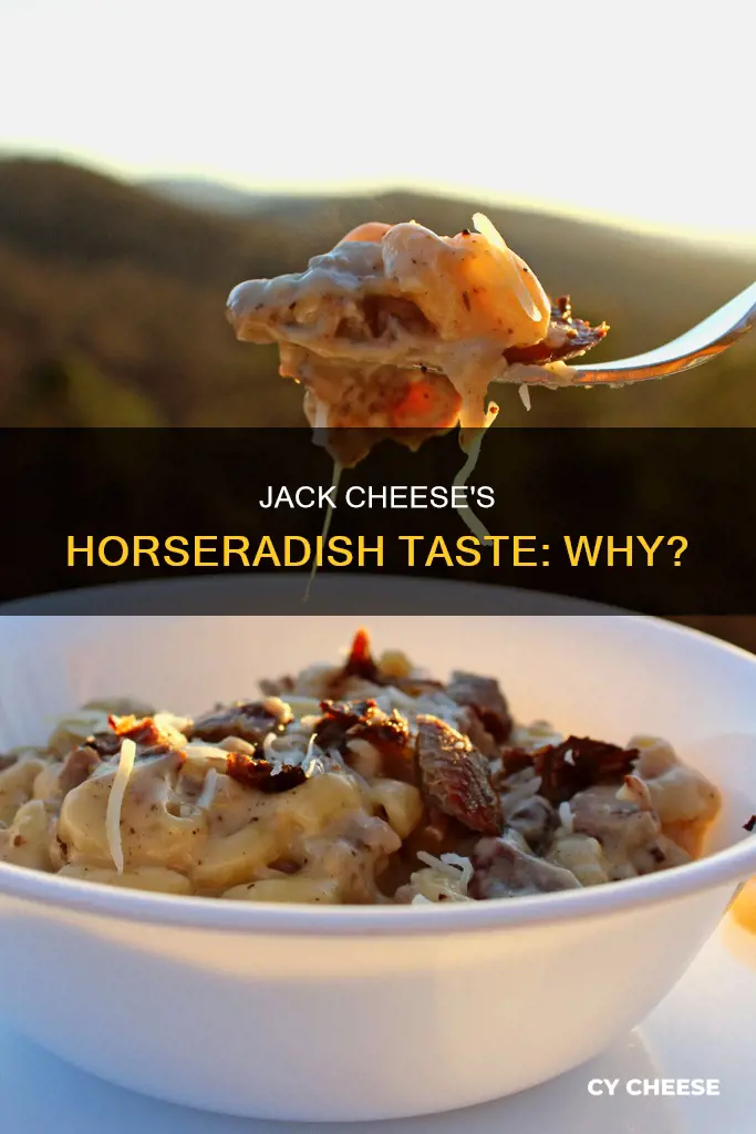 why does jack cheese taste like horseradish