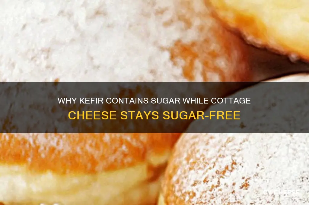 why does kefir have sugar and cottage cheese does not