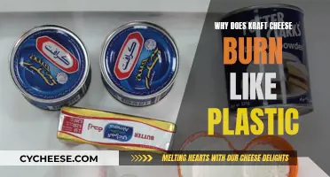 The Mystery of Kraft Cheese's Plastic-Like Burning