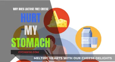 Lactose-Free Cheese and Stomach Pain: What's the Deal?