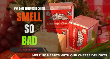 The Stinkiest Cheese: Why Limburger's Odor is Strong