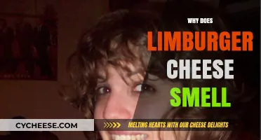 Unraveling the Pungent Mystery: Why Limburger Cheese Smells So Strong