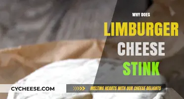 Why Limburger Cheese Smells So Bad: Unraveling the Stinky Mystery