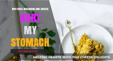Mac and Cheese: Why Does It Hurt My Stomach?