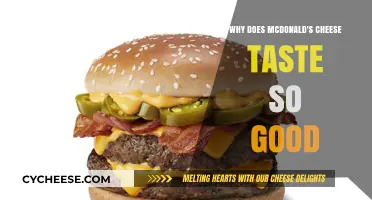 The Secret Behind McDonald's Irresistible Cheese Flavor Explained