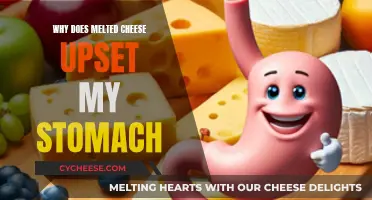 Cheese Sensitivity: Why Melted Cheese Upsets Your Stomach