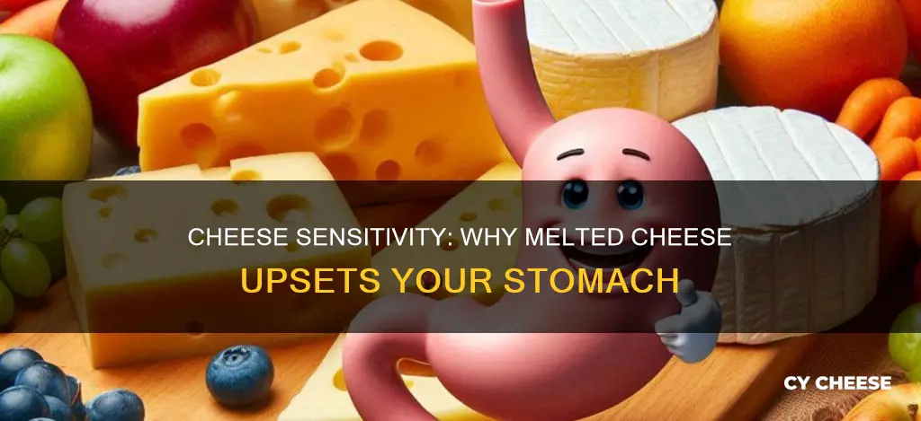 why does melted cheese upset my stomach