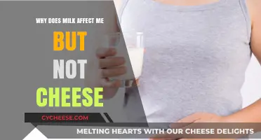 Why Milk Bothers Me But Cheese Doesn't: Unraveling Dairy Sensitivities