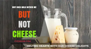 Milk Troubles Me, But Cheese Doesn't: Unraveling the Dairy Dilemma