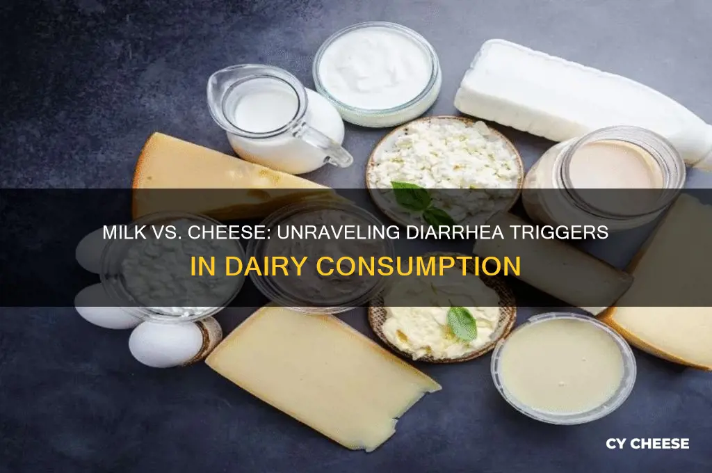 why does milk cause diarrhea but not cheese