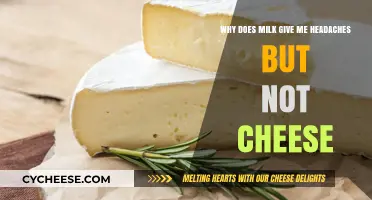 Milk Triggers Headaches, But Cheese Doesn't: Unraveling the Dairy Dilemma