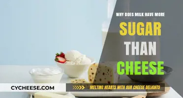 Why Milk Contains More Sugar Than Cheese: Unraveling the Dairy Mystery