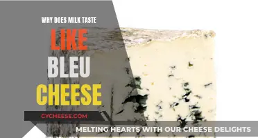 Unraveling Milk's Bleu Cheese Taste: A Curious Conundrum