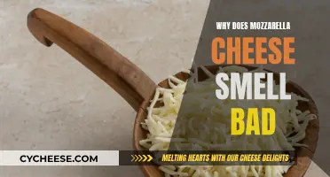 The Stinky Truth About Mozzarella Cheese
