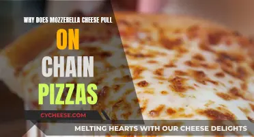 The Science of Stretchy Mozzarella: Why Chain Pizzas Pull