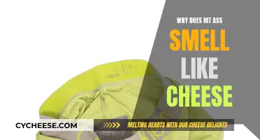 The Mystery of Cheesy Scents Emanating From Your Behind